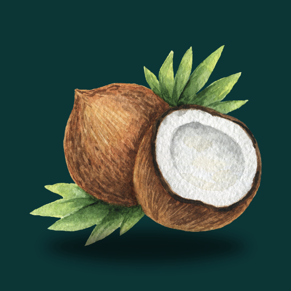 COCONUT