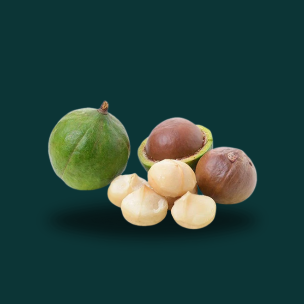 TAMANU