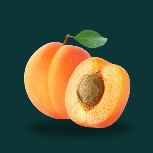  APRICOT