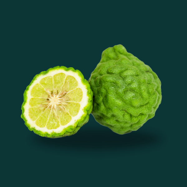  BERGAMOT