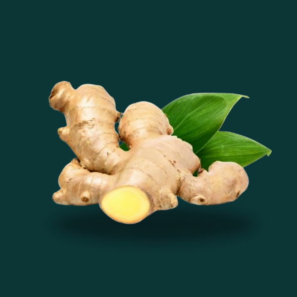 GINGER 
