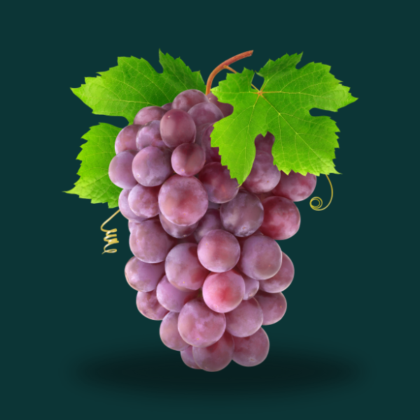 GRAPE 