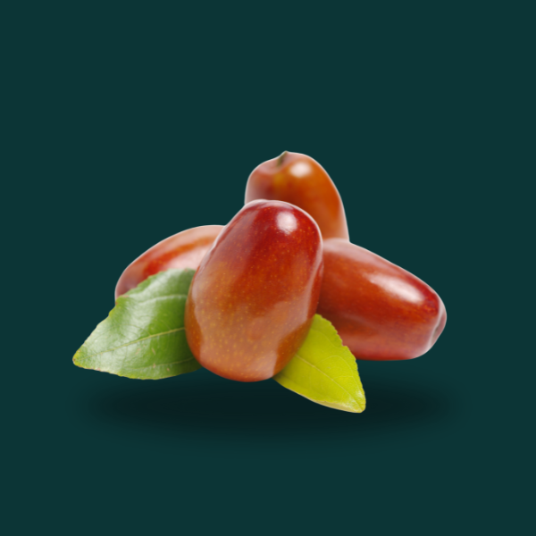 JOJOBA