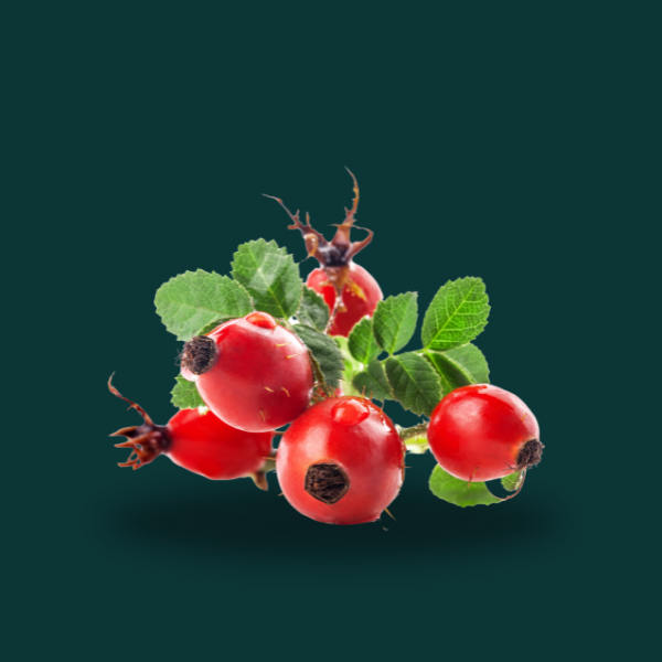 ROSE HIP