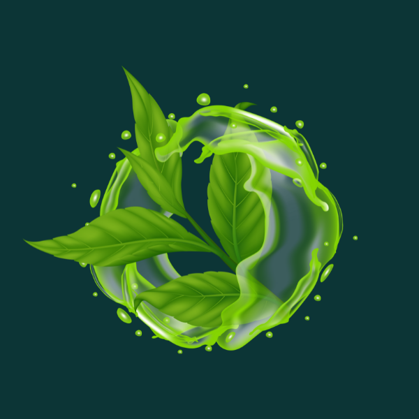 GREEN TEA 