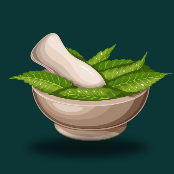 NEEM 
