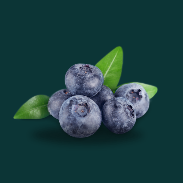 BLUE BERRY