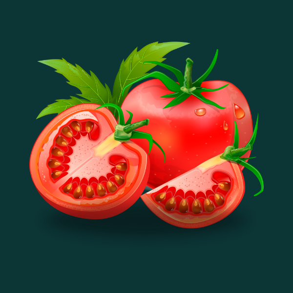 TOMATO