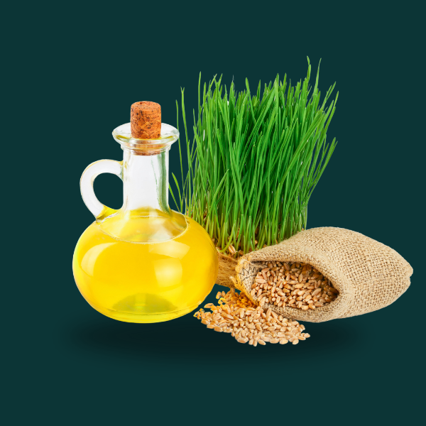 WHEAT GERM