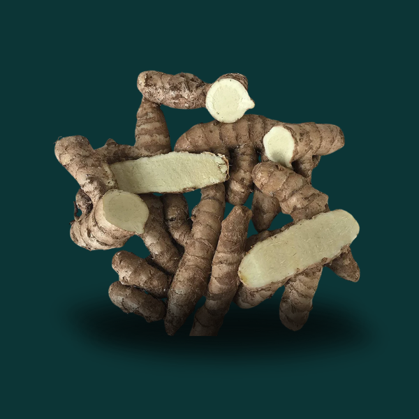 WILD TURMERIC