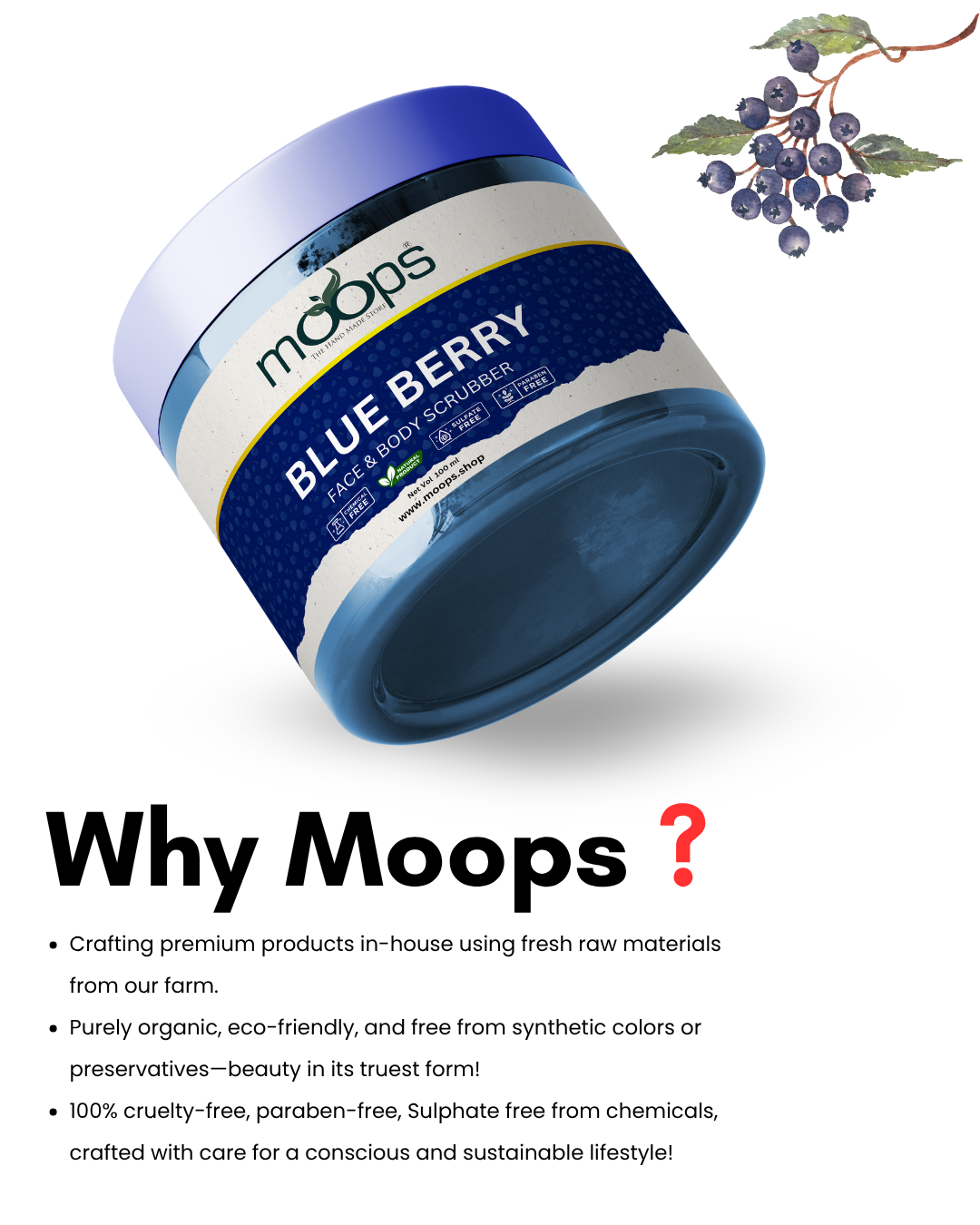 Moops Blueberry Face & Body Scrubber