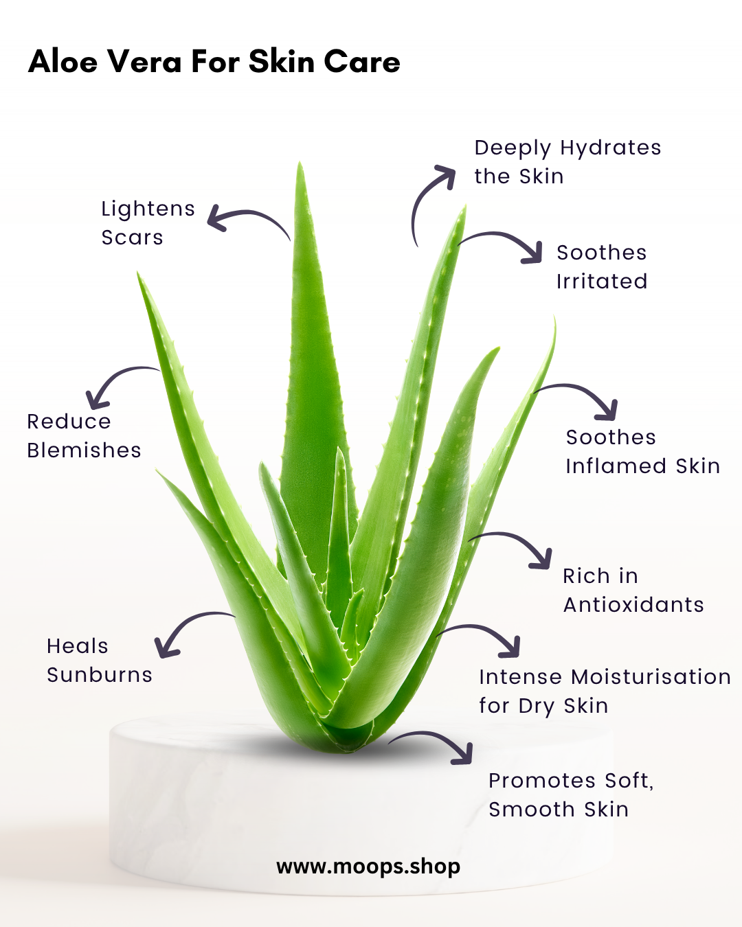 Moops Goat Milk Aloe Vera Premium Handmade Soap