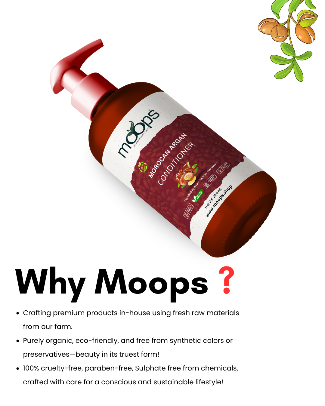 Moops Moroccan Argan Conditioner