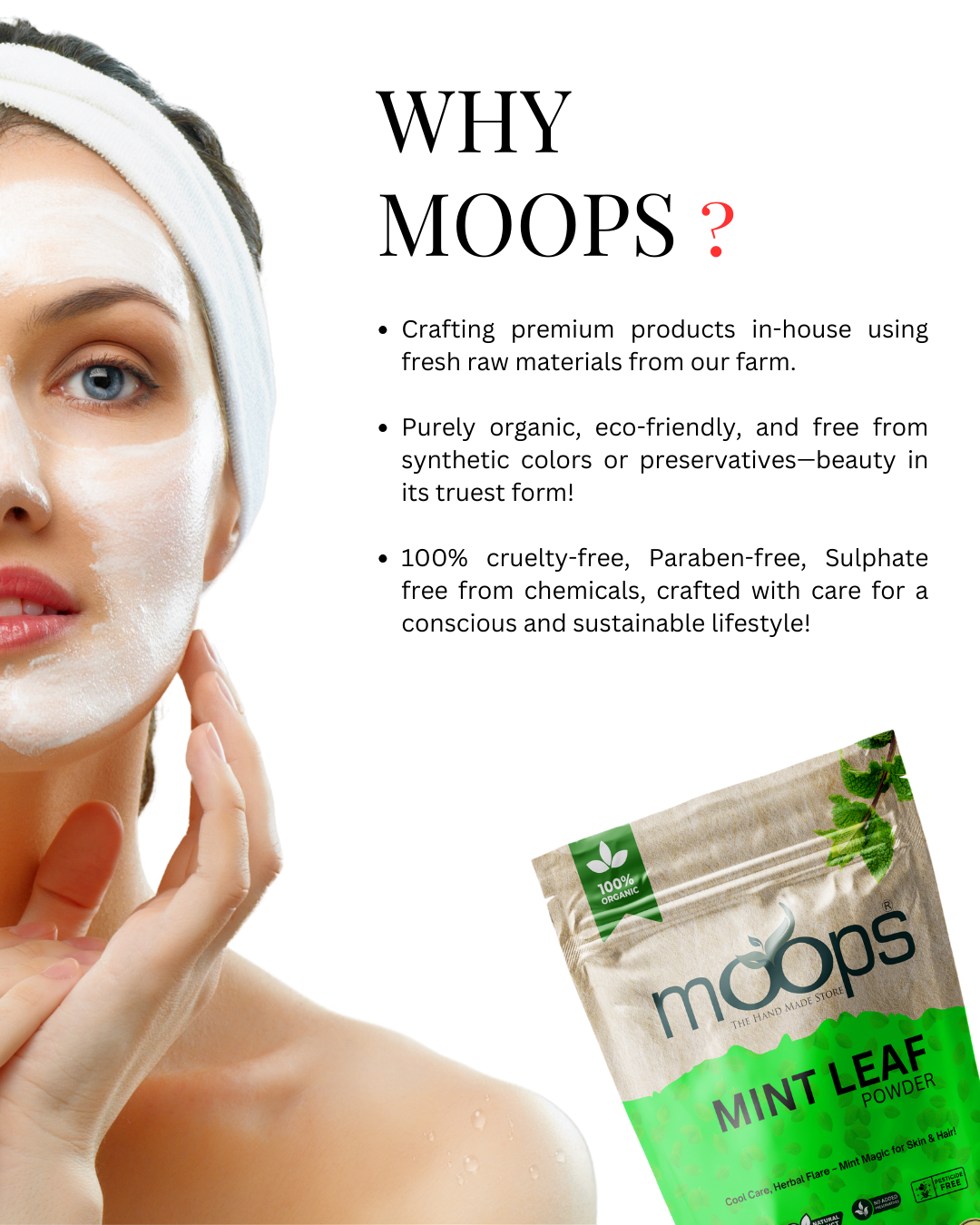 Moops Mint Leaf Powder